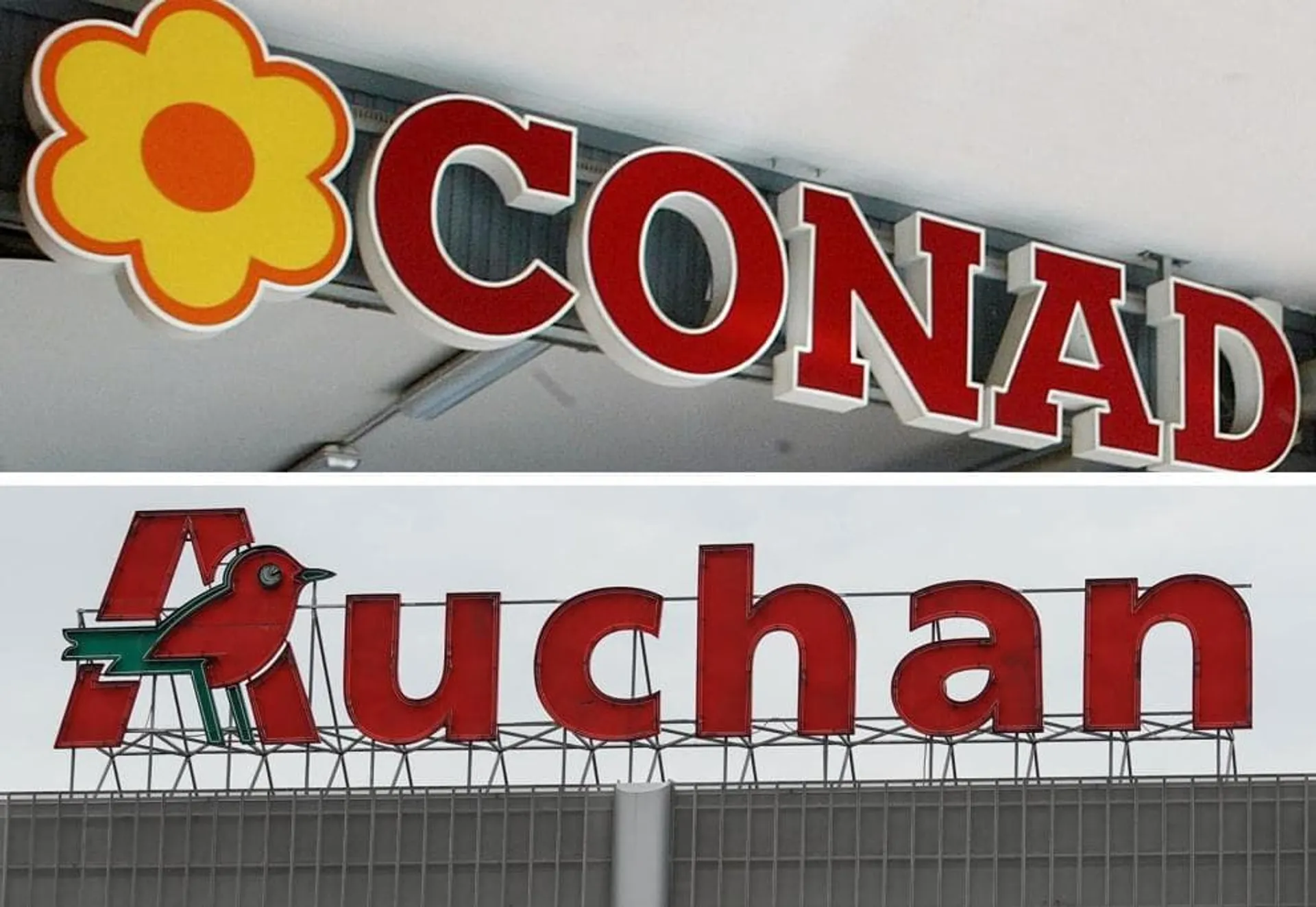 conad1-jpg