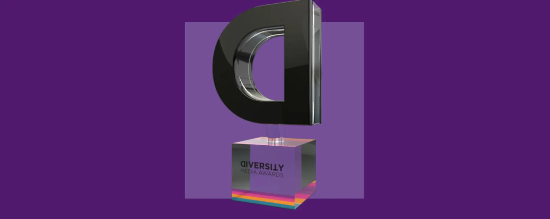 Diversity media award