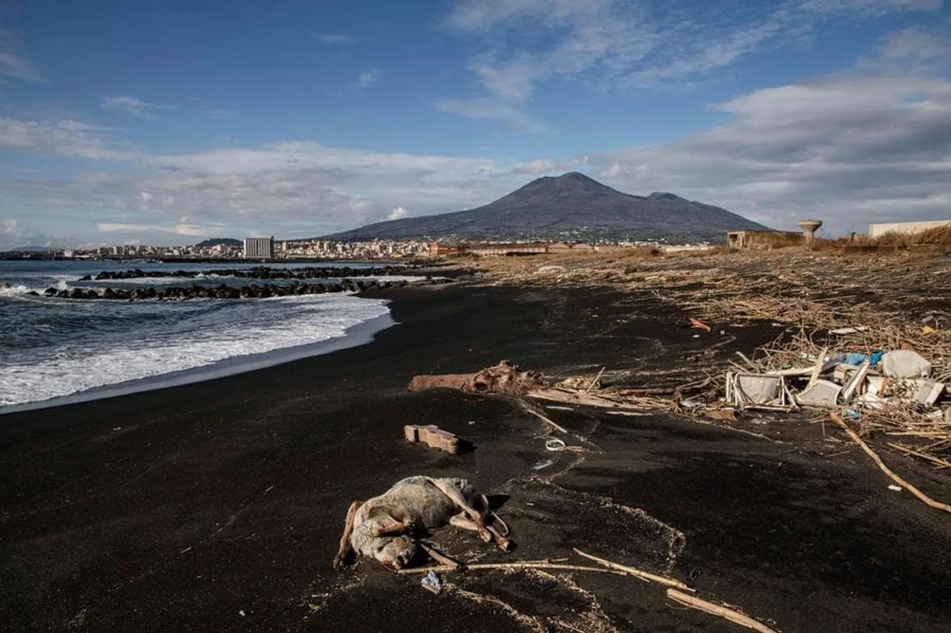 14 Novembre 2019, Torre Annunziata, quartiere Rovigliano - La carcassa di una pecora arrivata con la marea sulla spiaggia delle “Sette Scogliere” nel quartiere Rovigliano. Le griglie di depurazione, lasciate aperte lungo il Sarno, permettono l’arrivo alla foce di qualsiasi tipo di materiale, talvolta anche carcasse di animali che i contadini smaltiscono gettandole nel fiume.