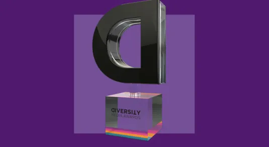 Diversity media award