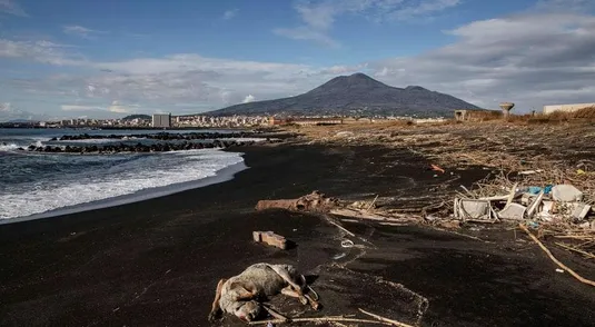 14 Novembre 2019, Torre Annunziata, quartiere Rovigliano - La carcassa di una pecora arrivata con la marea sulla spiaggia delle “Sette Scogliere” nel quartiere Rovigliano. Le griglie di depurazione, lasciate aperte lungo il Sarno, permettono l’arrivo alla foce di qualsiasi tipo di materiale, talvolta anche carcasse di animali che i contadini smaltiscono gettandole nel fiume.